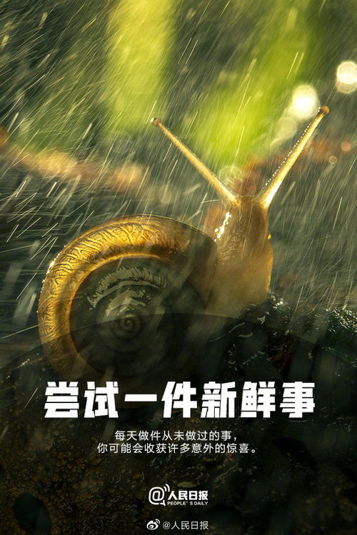 做自己人生的主角：从平凡到闪耀的蜕变之旅