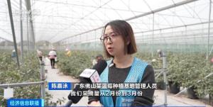 蓝莓降价了！今年的蓝莓比去年便宜将近20%，揭秘背后原因