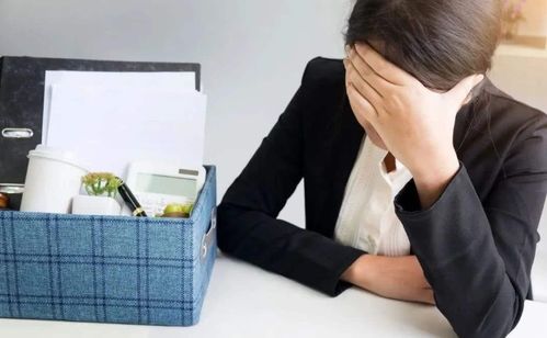 73%的人想辞职却不敢？其实不上班的出路，远比你想的要多