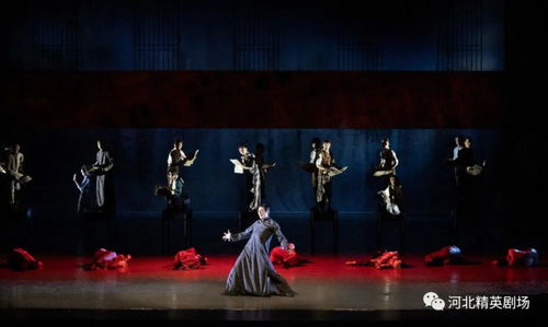 观看舞剧《白蛇》：一场心灵的震撼之旅