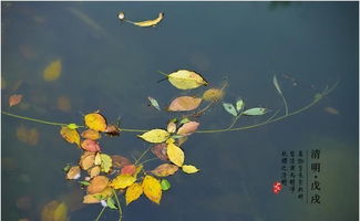 晋国故事：清明节的由来与传承