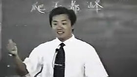 林中思语：一场与自然的深度对话