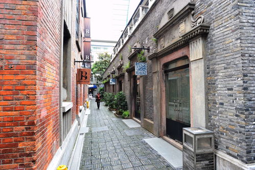 杭州女子遭遇中介“洪流”：200名中介涌入家中，背后真相令人震惊