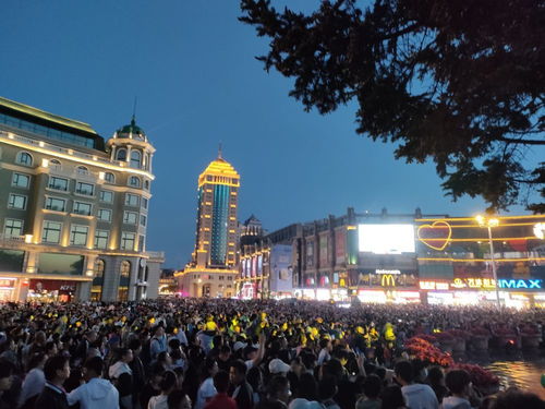 哈尔滨影视文化：从谍战剧到票房大战