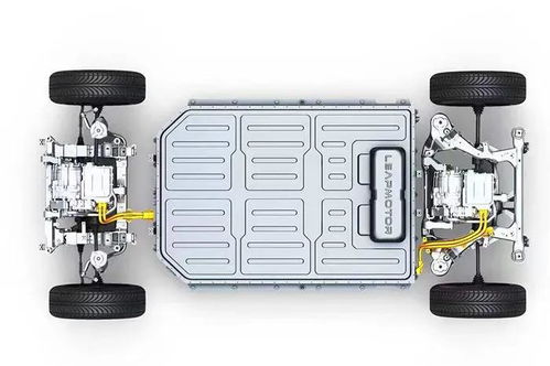 王琪儿：兴趣教育下的书法小明星