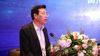 琼岛风华：跟着梅毅走天下，深度体验海南之美