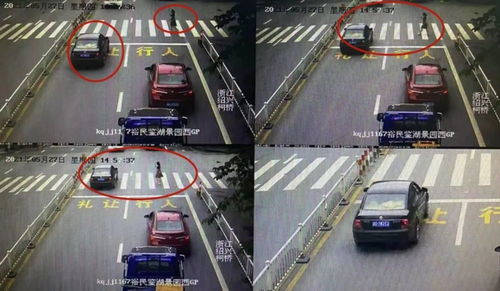 被曝光的真相：一次意外引发的深思