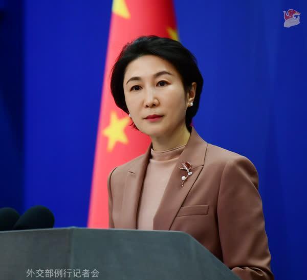 亲历毛宁首次主持两会外长会：一场备受瞩目的外交盛宴