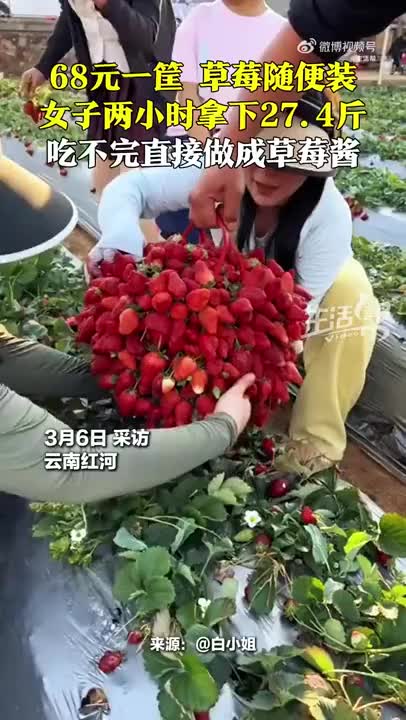 女子68元装近30斤草莓，老板直呼内行！