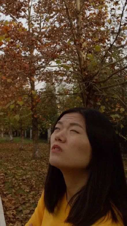 何苏叶：一封写给远方游子的家书