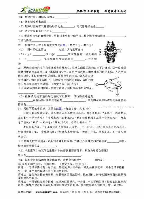 初中生自制八个马赫环火箭，这是什么概念？