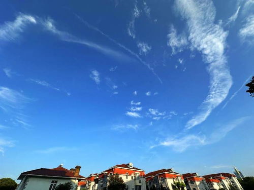 晨光里的涟漪：一场与自然的邂逅