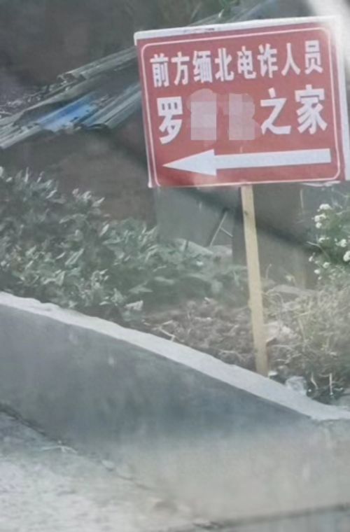 亲历者讲述：缅北电诈园区的终结之战