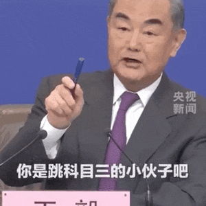 被王毅认出的外国记者劝诫“台独”：一场引人深思的国际对话