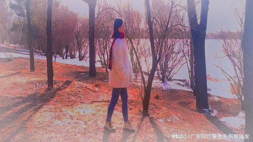 真正的宁静：在浮躁中找到内心的平衡