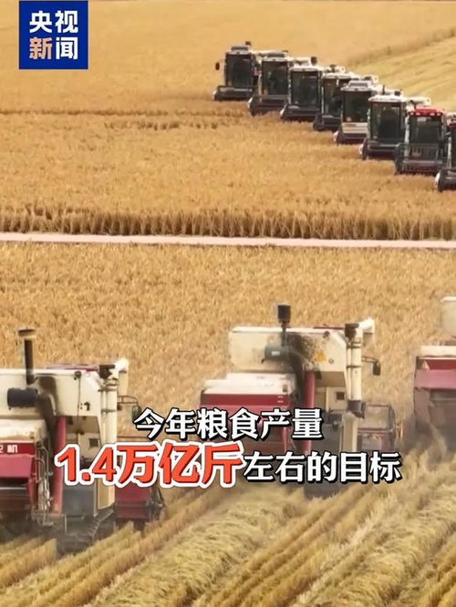 粮食产量“新目标”如何达成？从1.4万亿斤看中国农业的未来