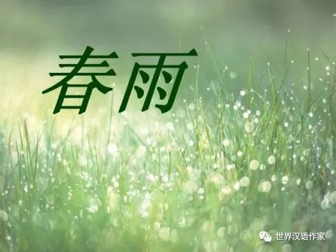 春雨润心田：一场与春天的深情对话