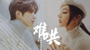 《难哄》：一场关于性别、情感与社会议题的深刻探讨