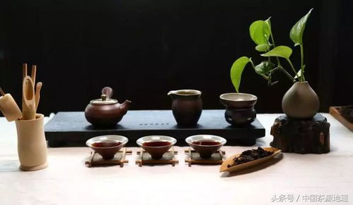 深夜茶香：一个关于孤独与思考的故事