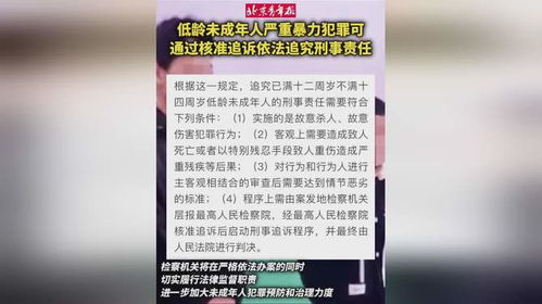 低龄未成年人严重暴力犯罪：核准追诉背后的深思