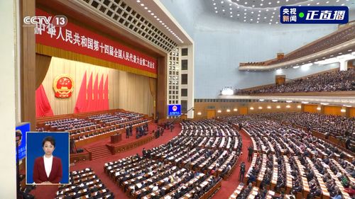 全国两会现场的妇女节祝福：感受温暖与力量