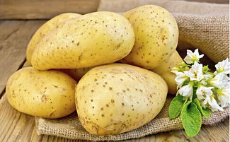 马铃薯与土豆：从田间到餐桌的奇妙之旅