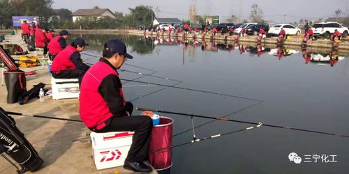 凭祥市中越钓鱼友谊赛：一场跨越国界的垂钓盛会