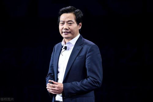 雷军退出背后：一场商业布局的深思