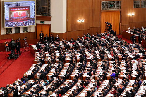 亲历十四届全国人大三次会议第二场“部长通道”：热点问题的权威解答