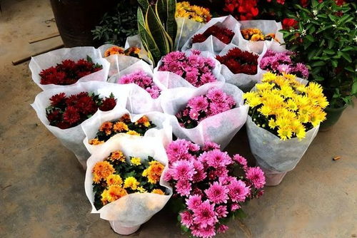 你好星期六三八节全员送花活动精彩回顾