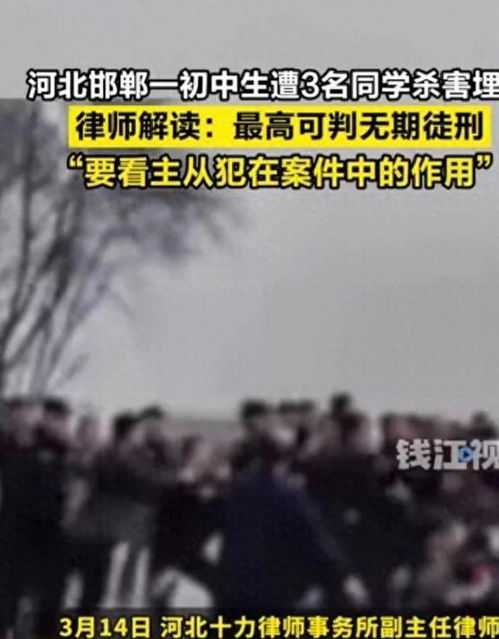 深度剖析：邯郸3名初中生杀人案背后的法律与人性