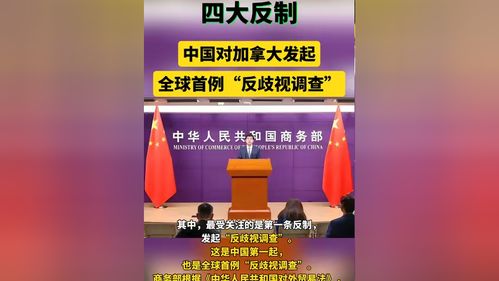中国对加拿大发起反歧视调查，加征关税背后有何深意？