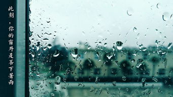 第273天：在阴雨绵绵中寻找生活的诗意