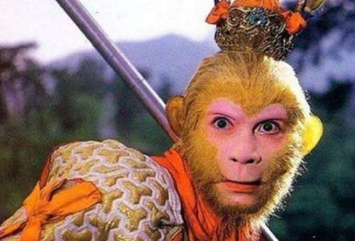 功成归极乐，汝亦坐莲台——西游路上悟空与唐僧的思想碰撞与妥协