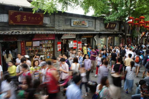 国庆假期的“人人人人花人人人人”热潮：一场人与自然的邂逅