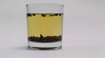 加沙危机下的真实故事：一位亲历者的视角