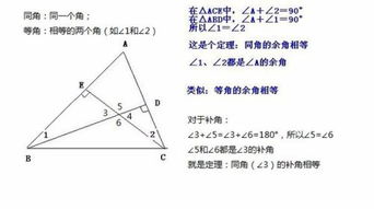 从对顶角到余角：我的教学反思之旅