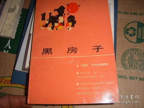 黑屋子杂记：一场关于自我探索的心灵旅程