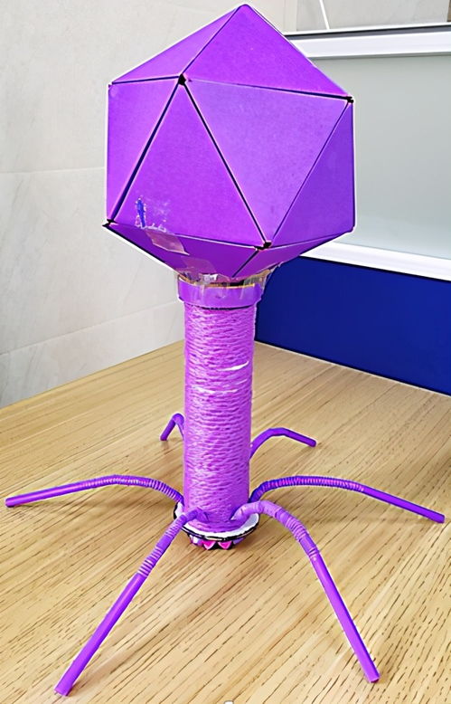 重庆冠军赛签表出炉：熟悉的味道，不一样的精彩