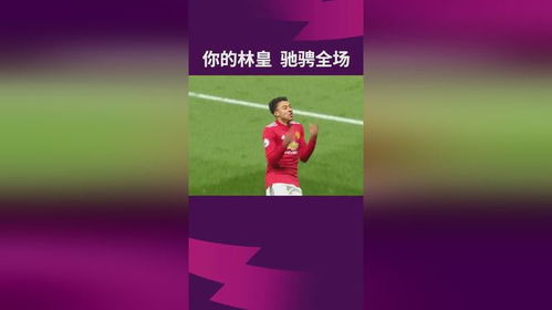 闪耀从不是一个代词：在文字中寻找自我