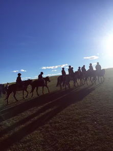美好在路上：一位老师用简书记录成长的点滴
