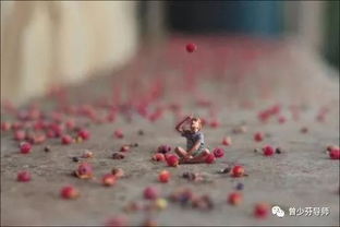 改变自己还是接纳自己？这是我找到的答案