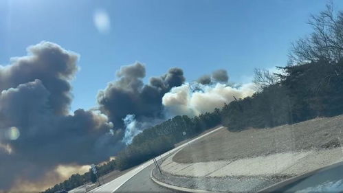 亲历美国纽约山火：一场人与自然的抗争