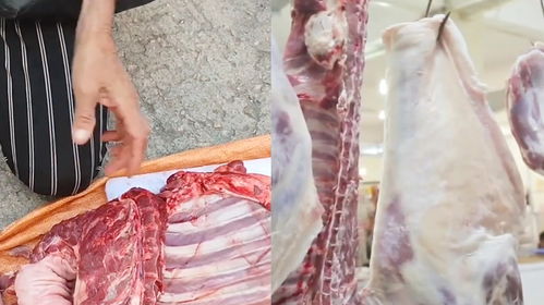 农民卖羊肉获利180元被罚10万，背后的故事与反思