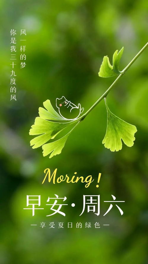 周末的清晨：一场与自我对话的心灵之旅