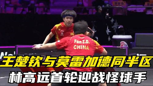 王楚钦与莫雷加德同区：一场乒乓巅峰对决的前奏