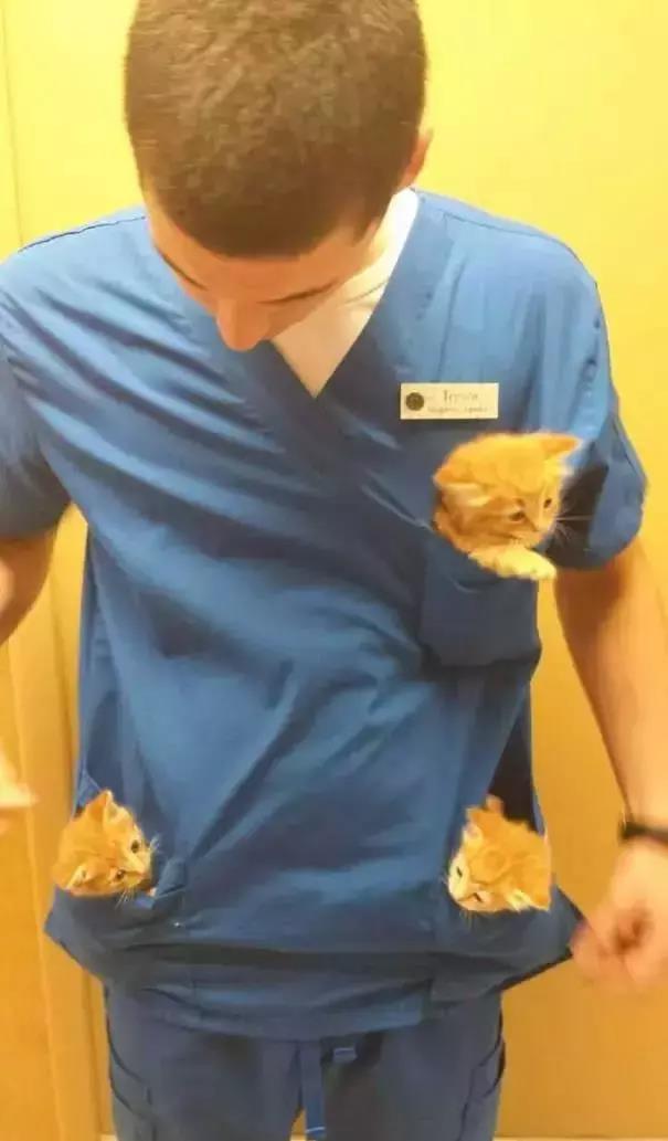 深度解析：特朗普的言辞是否真的“吓死”了民主党议员？