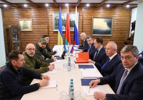 泽连斯基的和平愿景：谈判桌上的新希望