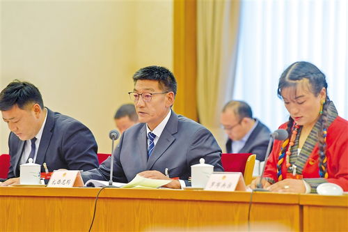 两会现场直击：感受总书记对民生与发展的深切关怀