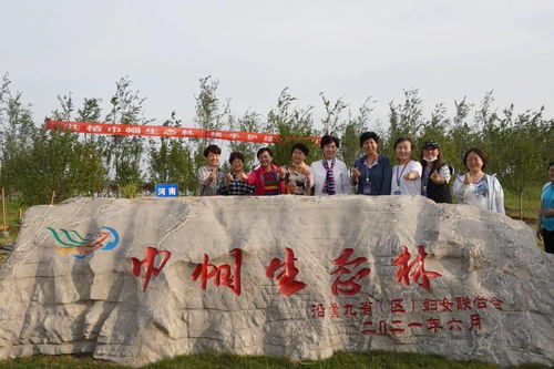 B站商业化与社区生态：一场相爱相杀的平衡艺术